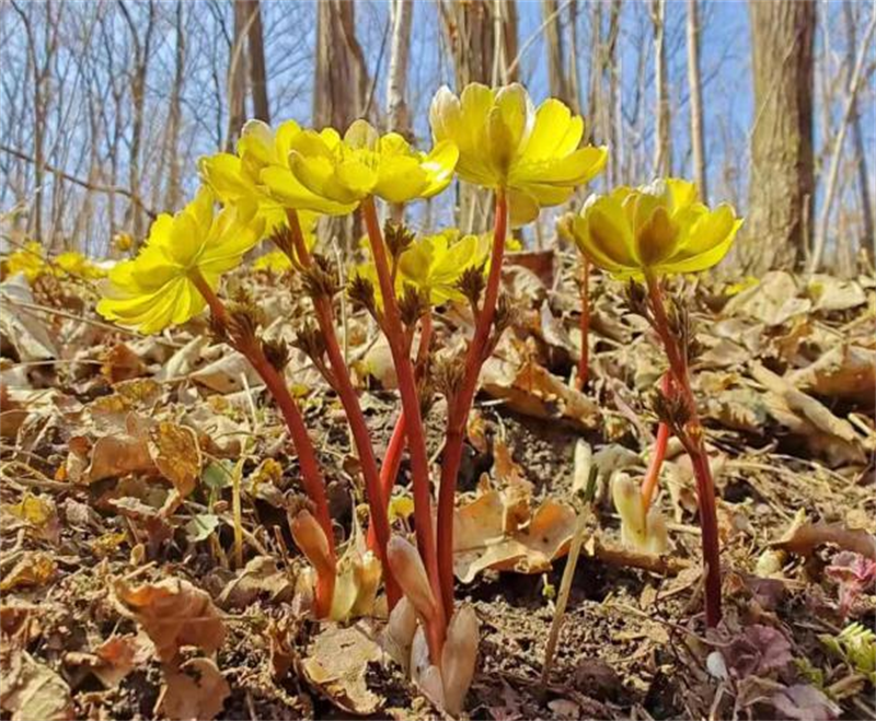 尊龙凯时 - 人生就是搏!