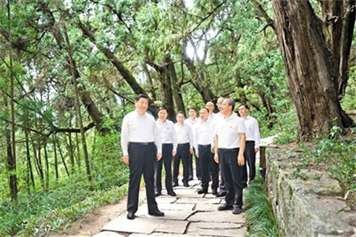 尊龙凯时 - 人生就是搏!