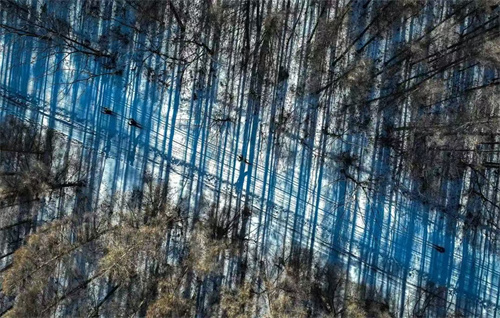 尊龙凯时 - 人生就是搏!